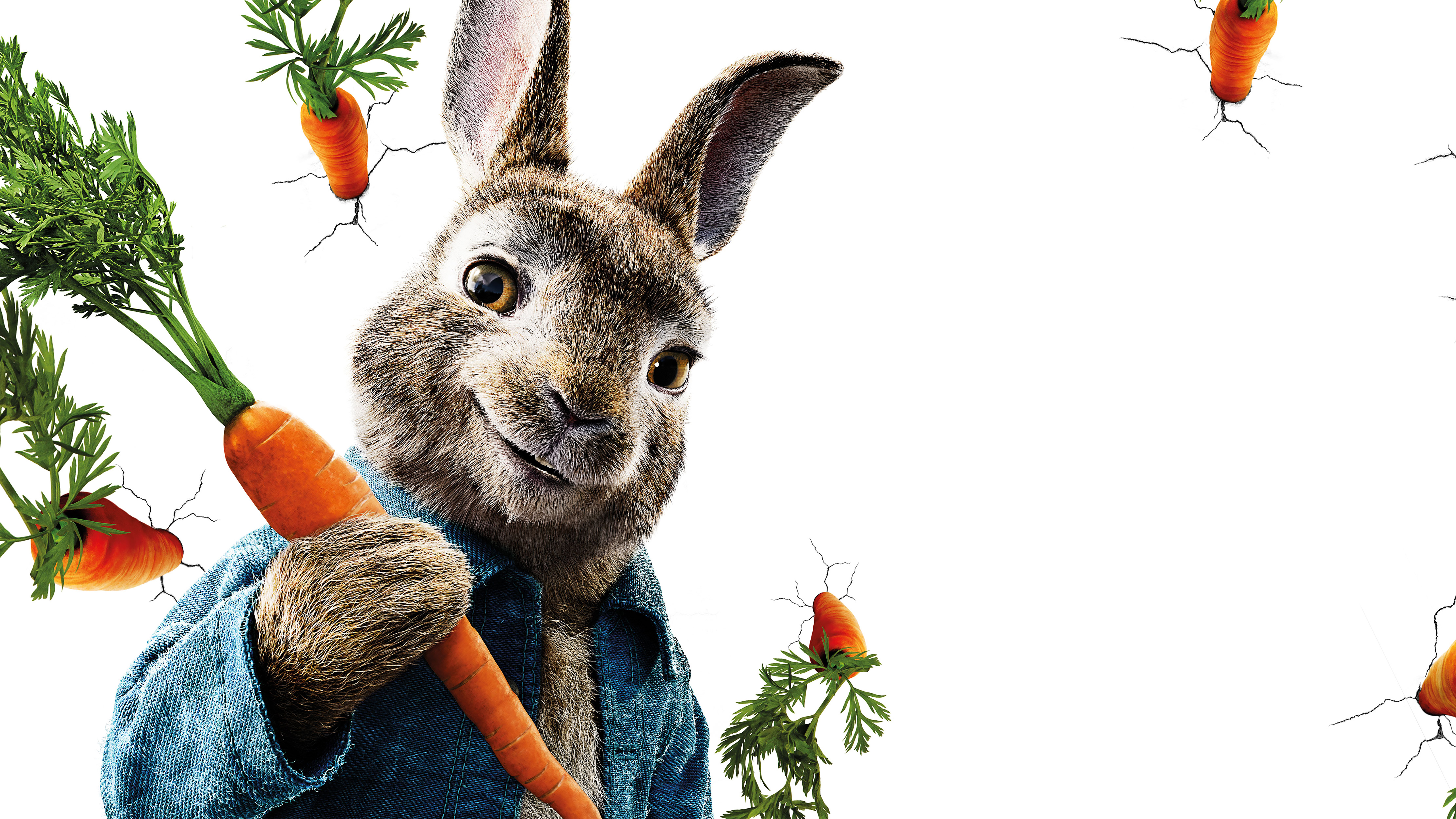 Peter Rabbit 5K608103589 - Peter Rabbit 5K - Rabbit, Quiet, Peter